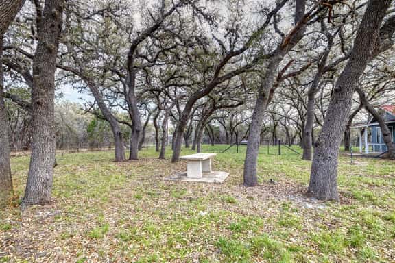 Live Oak Cottage - Image 1